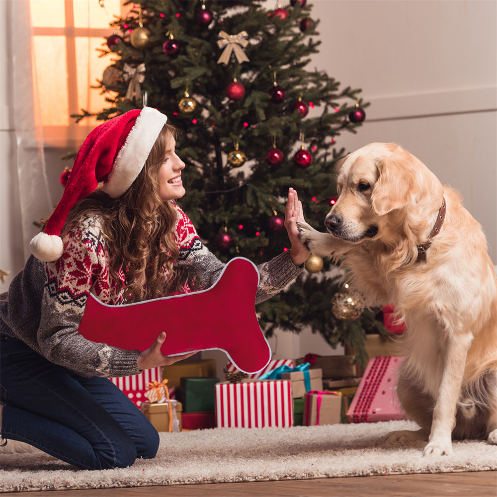 Calza di Natale in Velluto a F - Luxury Xmas Bags recensione e prezzo